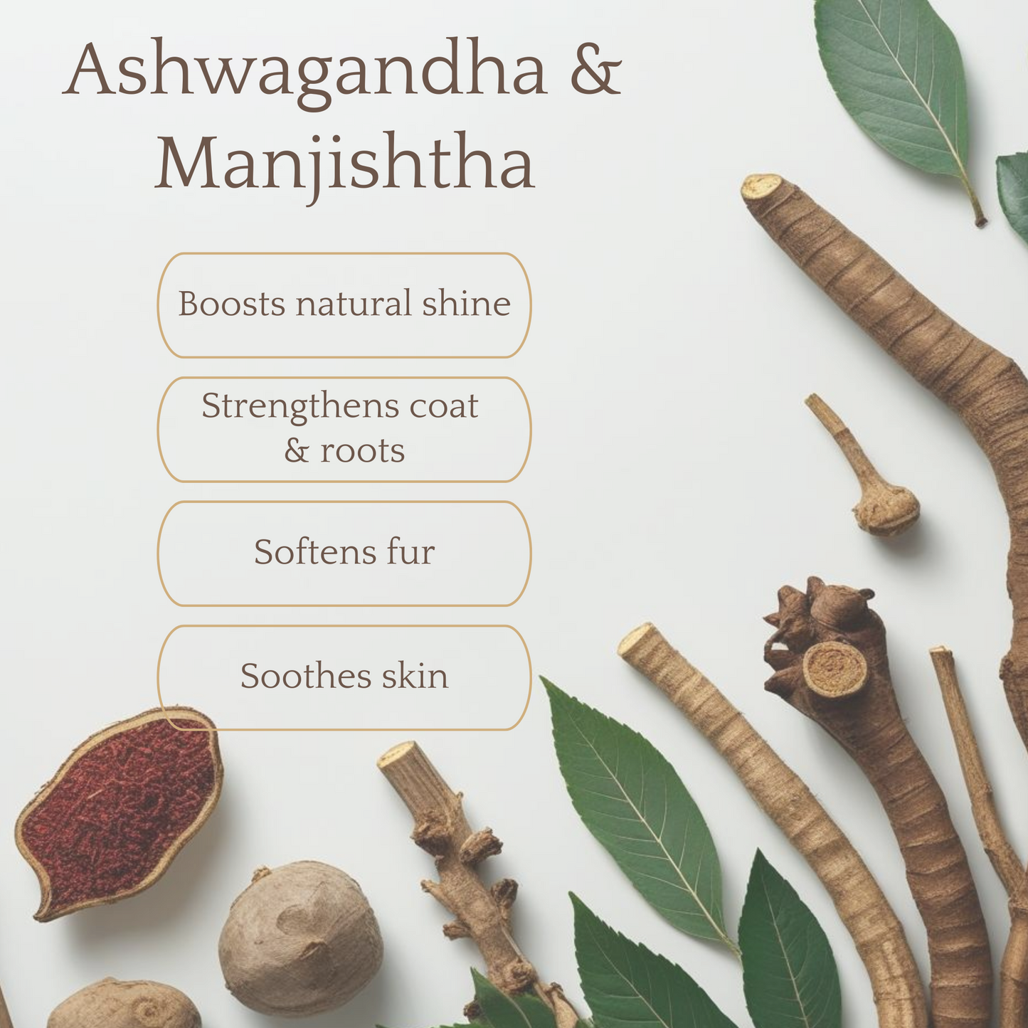 Coat Shine Serum -  Ashwagandha,  Manjishtha,  Avocado, Castor & Coconut Oil