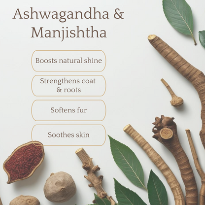 Coat Shine Serum -  Ashwagandha,  Manjishtha,  Avocado, Castor & Coconut Oil