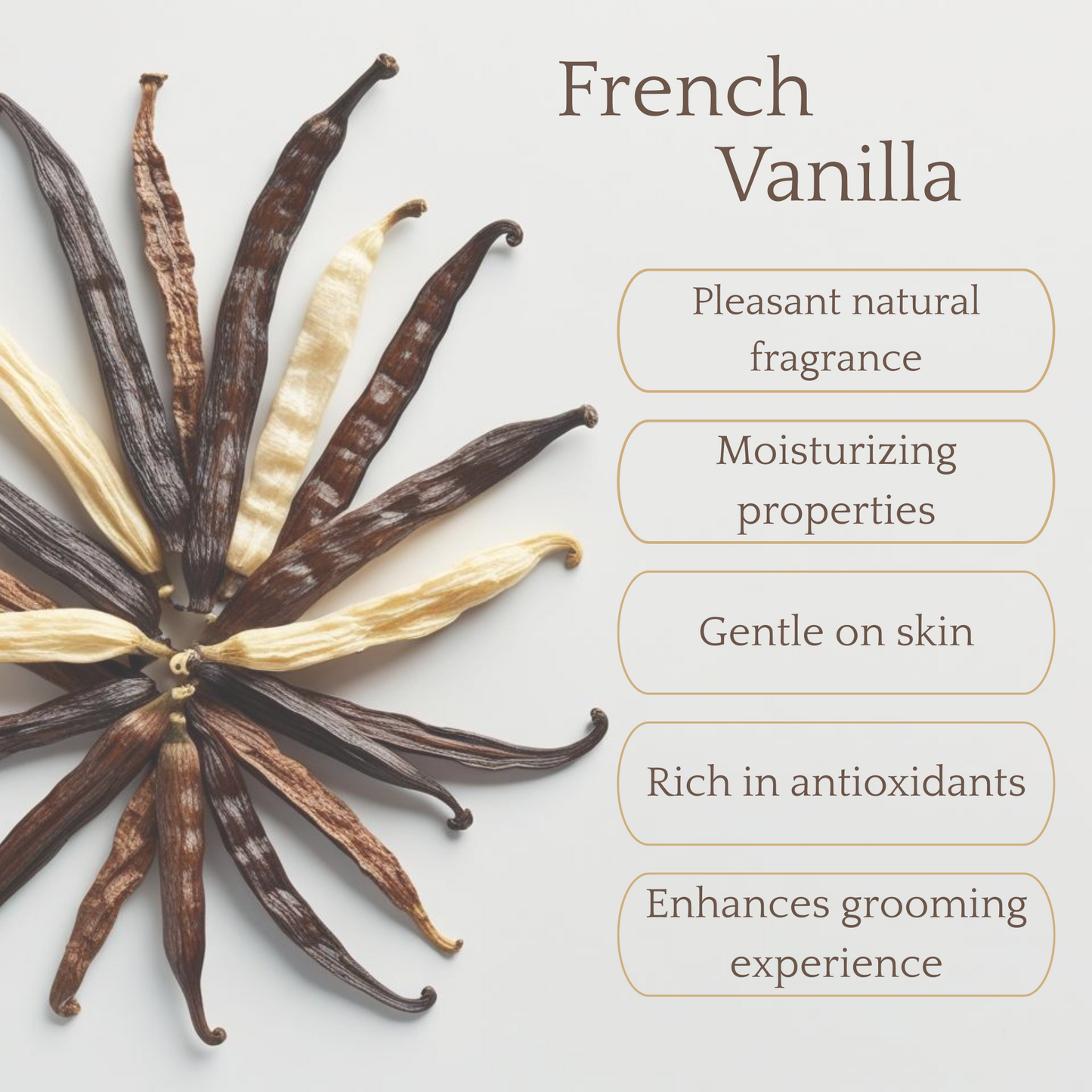 Nourishing Shampoo - French Vanilla